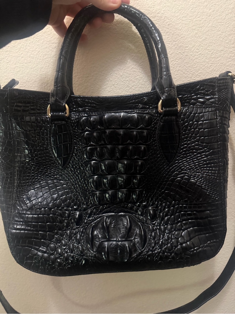 Brahmin - Picture 3 of 9
